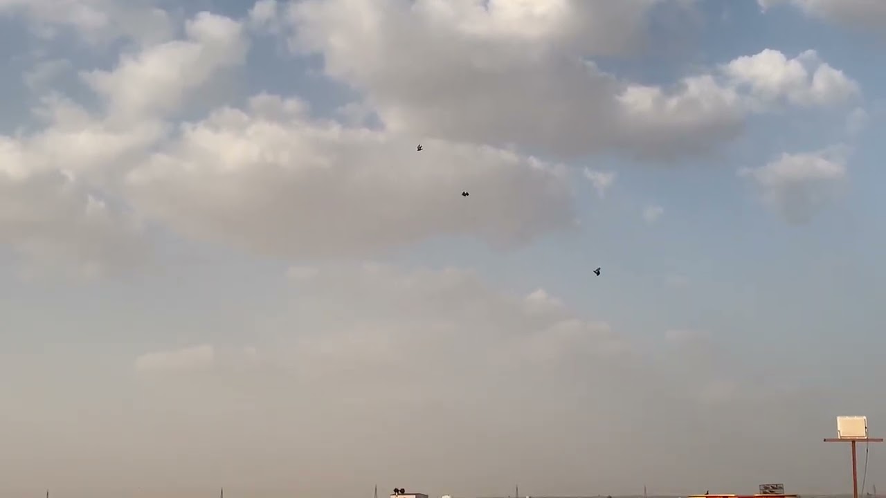 طيار الاسود الارقم فرخ العام .