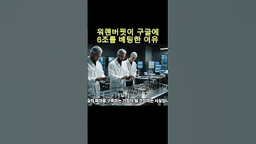 투자의 신이 20년 만에 구글에 6조를 베팅한 이유 #워렌버핏 #구글 #AI전쟁