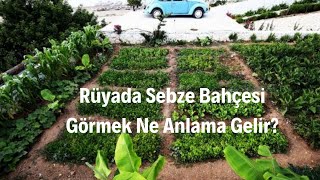 Rüyada Sebze Bahçesi Görmek Ne Anlama Gelir