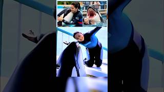 Download Lagu jessica radcliffe video | jessica radcliffe orca attack |Jessica Radcliffe Video | jessica radcliffe MP3 Download Lagu jessica radcliffe video | jessica radcliffe orca attack |Jessica Radcliffe Video | jessica radcliffe MP3