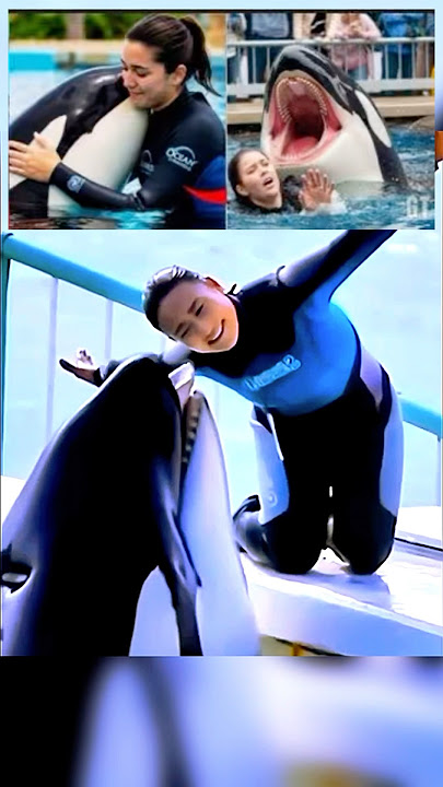 jessica radcliffe video | jessica radcliffe orca attack |Jessica Radcliffe Video | jessica radcliffe