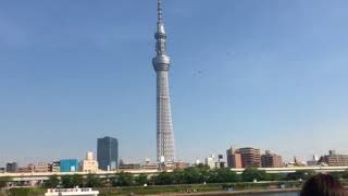 第87回早慶レガッタ