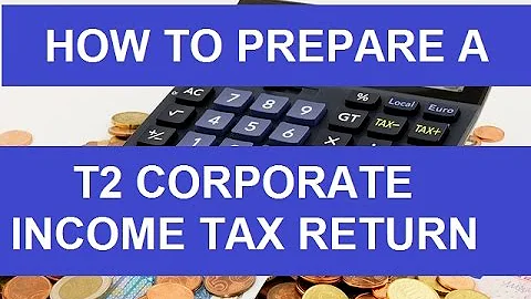 How to  Prepare a T2 Corporate Income Tax Return - Detailed - DayDayNews