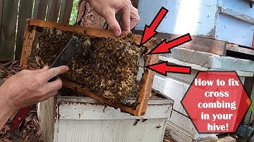 Fixing Cross Combing In A Bee Hive