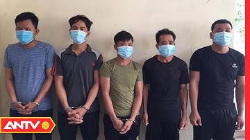 Bắt nhóm đối tượng trộm cắp cáp viễn thông | ANTV