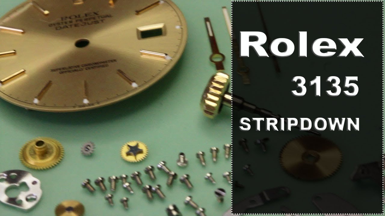 rolex 3135 service