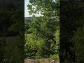 Yem yeşil doğa 🇹🇷