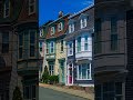 Jelly Bean Houses Newfoundland #shorts #olympus #om #om1