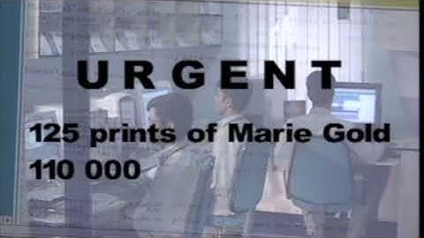 Macromedia Digital First AV - 2003