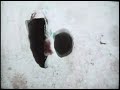 Capture de la vidéo [Official T/S] 양홍원 - 아직
