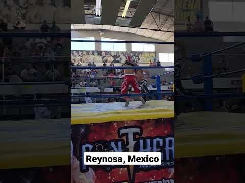 Templario vs. Soberano
