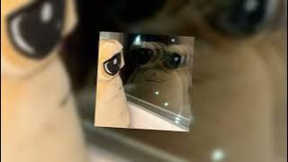 Leni Crystal Castles (final part slowed   loop)