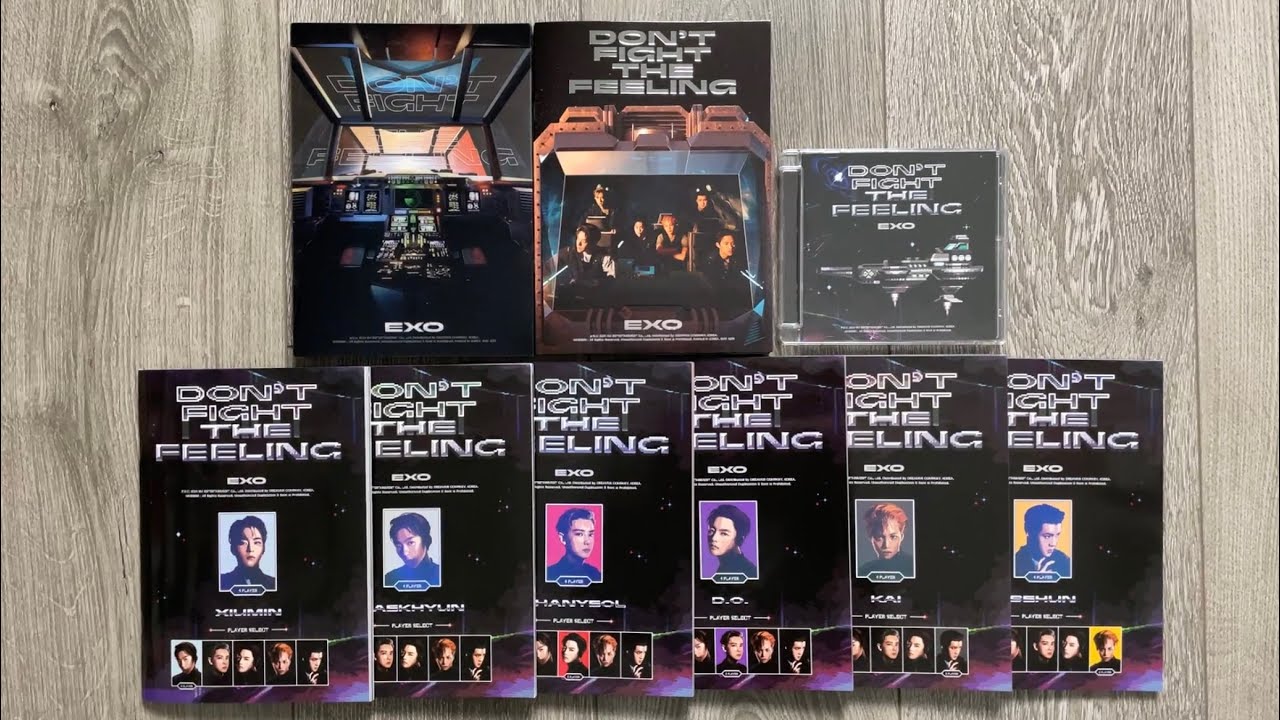 EXO - EXO Don&#39;t Fight The Feeling トレカ　セット EXO Special Album Don't Fight the Feeling Official Photocard