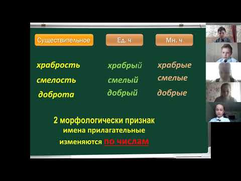 Морфологические признаки имени прилагательного.