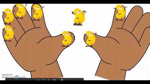 Math Module 1 (K) Lesson 20 Fluency: Hands Number line to 7