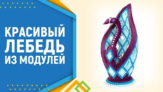 Модульное оригами лебедь. Modular origami Swan. Лебедь оригами. часть 3 Модульное оригами лебедь. Modular origami Swan. Лебедь оригами. часть 3