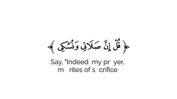 017 كروما شاشه بيضاء قرآن كريم 🌿تلاوة من سورة الأنعام🌿القارئ رعد الكردي 🌿