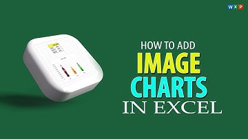 How To Add Image Charts in Excel Sheet? #exceltricks #wxp