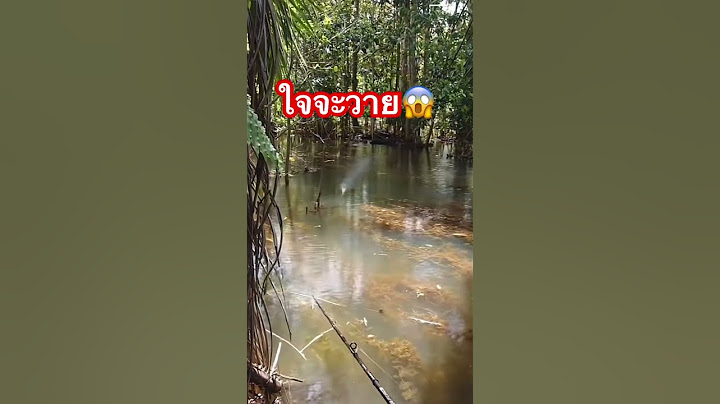 ใจไม่ถึงห้ามดู #ตกปลาชะโด