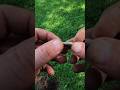 It Took Me 10+ YEARS To Finally FIND One of These Metal Detecting! #bucketlist