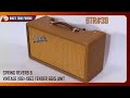 Btr39 spring reverb and vintage 19611963 fender 6g15 unit