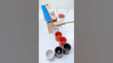 Color Sorting ASMR#asmr #funny #video #youtube #ytshorts