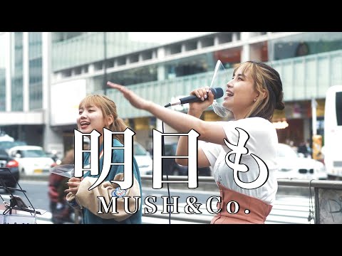 【衝撃!!】路上ライブで大盛り上がり!?『明日も/MUSH&Co.(cover)』一華ひかり&Soala