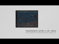 Transience - a preview of a solo exhibition