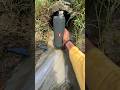 essential flip 2 water 🌊🌊 testing best video