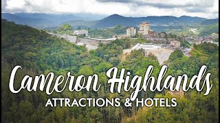 Cameron Highlands Attractions &amp; Hotels (NEW Viewing Tower at Mossy Forest)