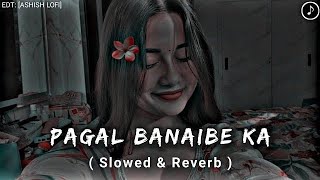 Pagal Banaibe Kare Patarki   Bhojpuri Slowed Reverb  Bhojpuri Lofi Hit Song
