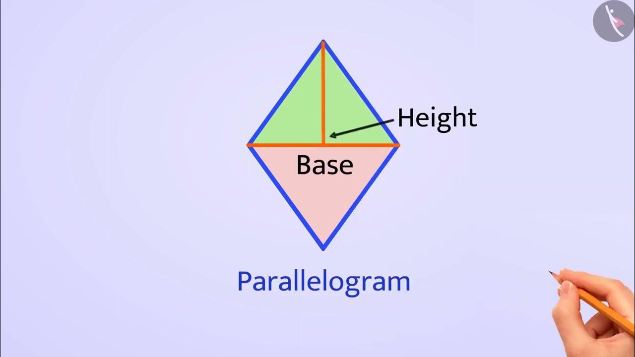 Exercise 1.3 Class 7