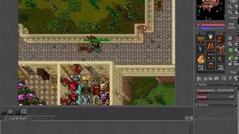 Tibia client buggy