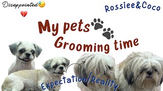 Pets Grooming VLOG #chandanaraj #kannadvlog #dailyvlog #petsgrooming #pets #petlover #dog #shihtzu