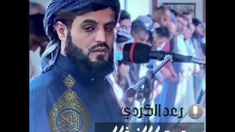 رعد محمد الكردي#سورة الانفال #حالات واتس اب دينيه قرآن كريم