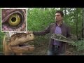 Dinozaurii de la Rasnov s-au inmultit!