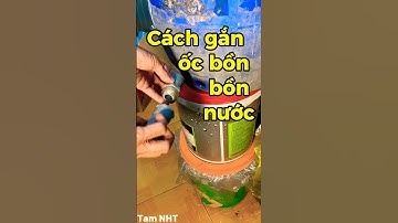 Hướng dẫn cách lắp ốc bồn bồn nước không bị rò rỉ #meovatcuocsong #chiasekinhnghiem #Shorts #Tam NHT