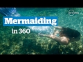 'Mermaiding' with Sydney mermaids