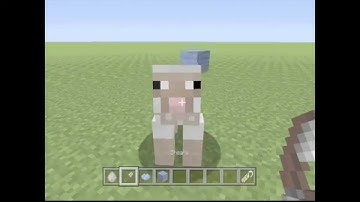 Minecraft PS3/Xbox 360 - TU24 Rainbow sheep!