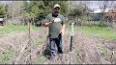 Weeding Your Garden: A Labor of Love ile ilgili video