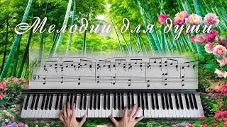 Пианино  Музыка для Отдыха Piano Birdsong Music for Relaxation