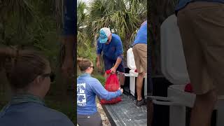 Guess what’s going in the river? #clamming  #clam #claming #clams #marinelife