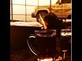 آه ويلي من صمت دائم وديع مشعجل