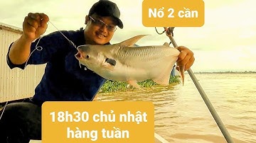 Câu cá dồ đém #23. Trong 5 phút nổ 2 cây cần dựng, cá gì ghê vậy?