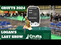 Crufts dog show 2024  logans final appearance in the show ring