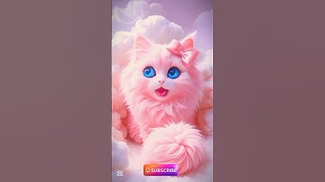 Thumbnail of Pinky Fluffy Cat 😱 Singing apt apt Song lyrics #apt #cat #catsinging #viralshorts