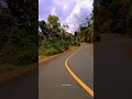 Serasa berjalan di atas pungguk ular PITON #Shorts #vlog_perjalanan