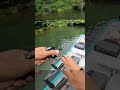 入鹿池の太いバスをジャークベイトで釣る #shorts