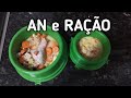 A alimentação dos MEUS CÃES