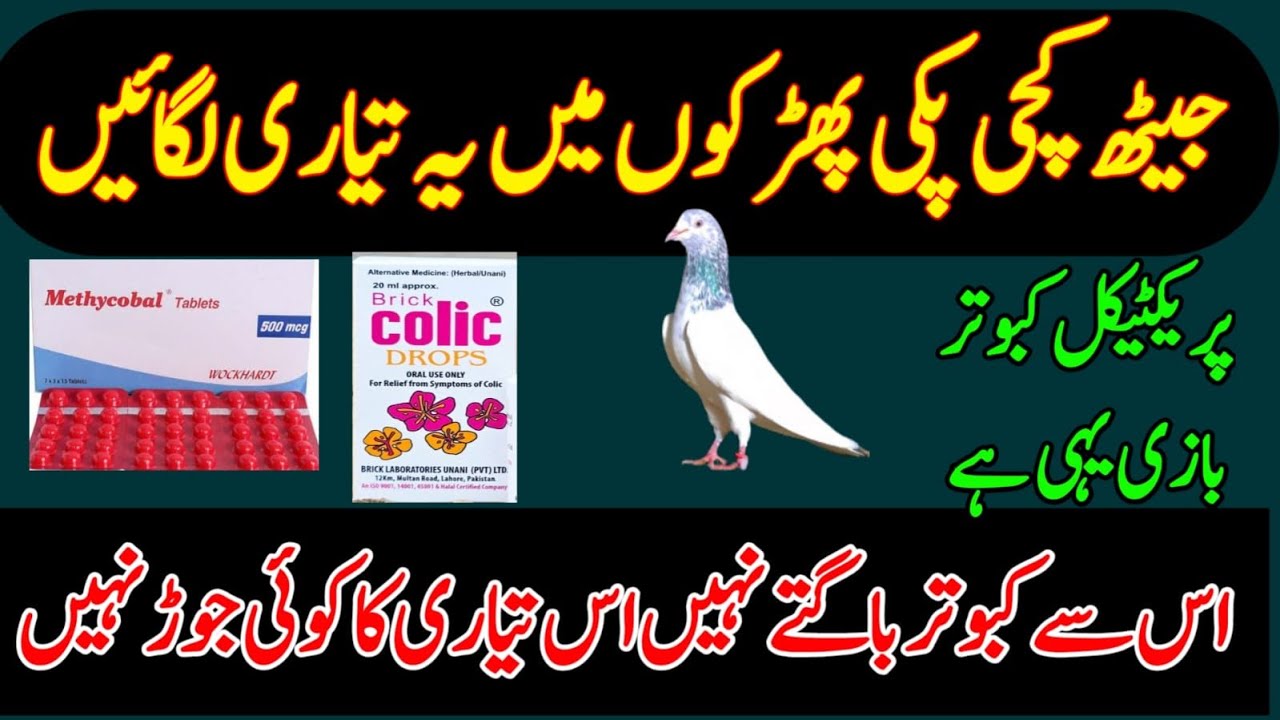 JAITH KACHI PAKI FARKON ME YE TYARI LGAIN IS SE KABOOTAR BAGTY NAHI IS TYARI KA KOI JOR NAHI 